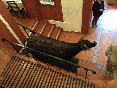 Chilenazo Restaurant