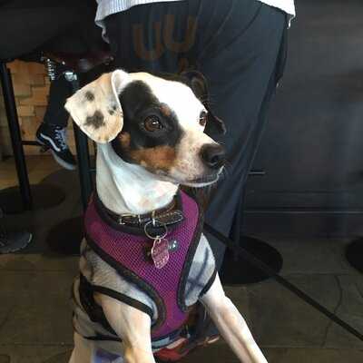 Panadería Gabilondo