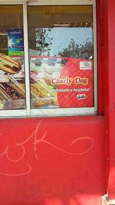 Charly Dog