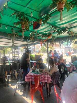 Pastas Nenetta Chile