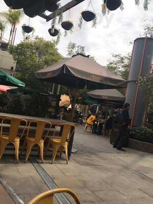 Inside Tea Connection