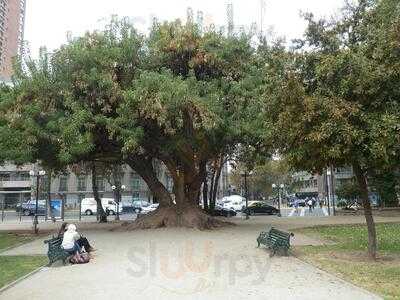 Café Literario Balmaceda