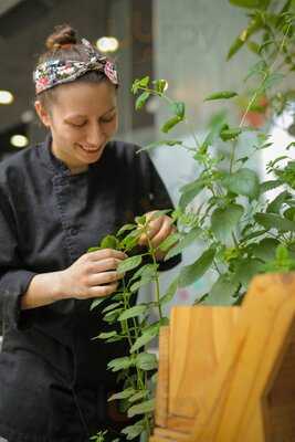Al Grano Nutrición Consciente