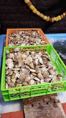 Ostras Azocar Restaurante