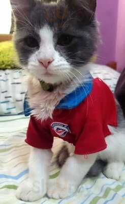 Restaurant Lung - Tu