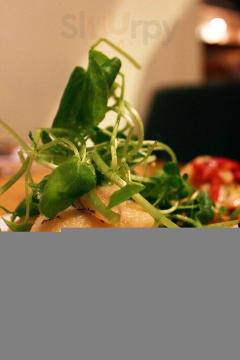 Módena Restaurant & Bar