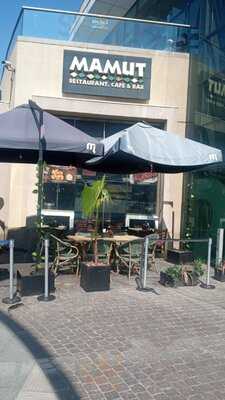 Mamut Mall Plaza Tobalaba