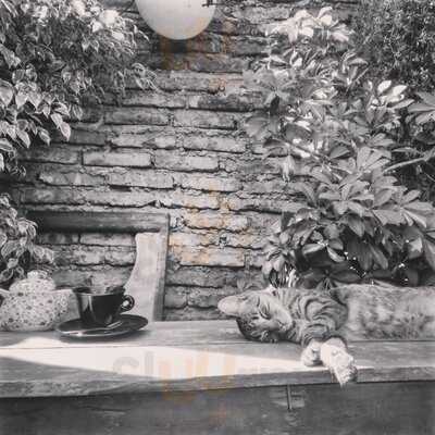 El Holandés Errante