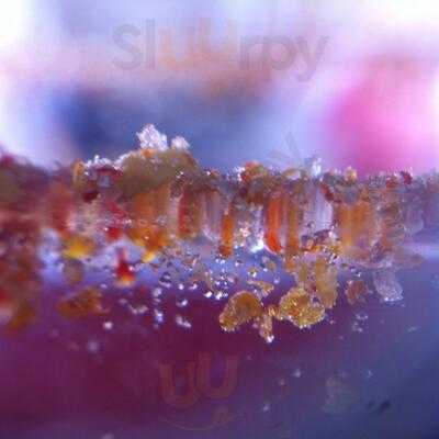 Chilango Los Tacos Hermanos