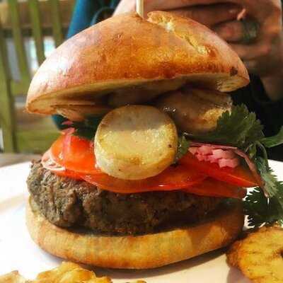 Saladbar Green Is Better