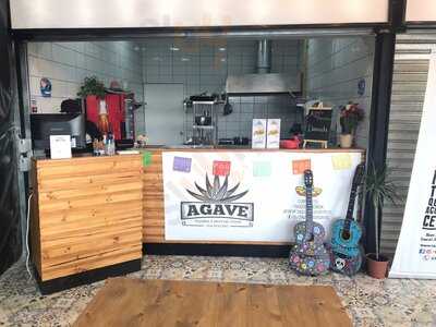 Agave