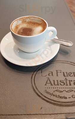 La Fuente Austral