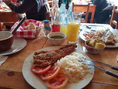 Sindicato T I Folkloristas Y Guitarristas De Chile