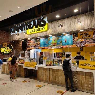 Tommy Beans Providencia