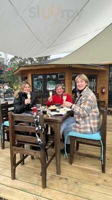 Puertas De Algarrobo Restomar