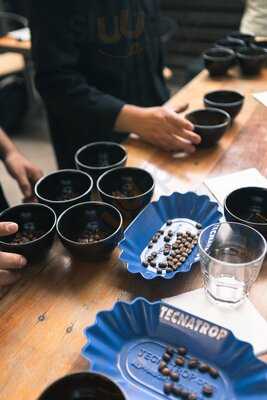 Singular Coffee Roasters