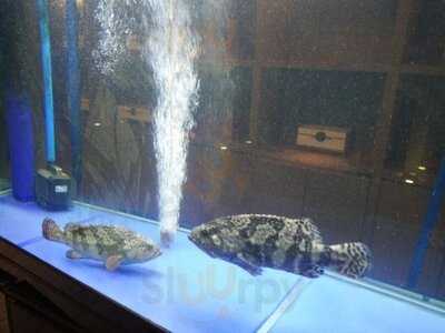 万豪中餐厅 重庆万豪酒店