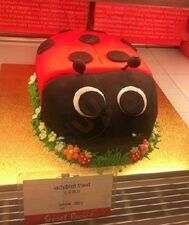 浮力森林(文二店)