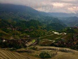 Lost In Beauty Restaurant