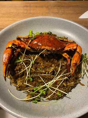 Sierpe Caribe Fusión