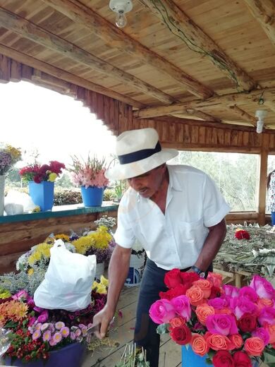 Maloca Entre Flores