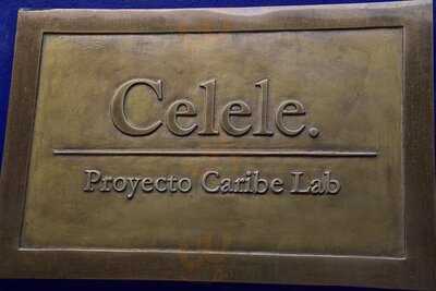 Celele By Proyecto Caribe Lab