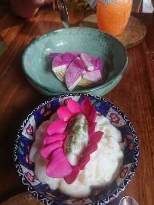 Celele By Proyecto Caribe Lab