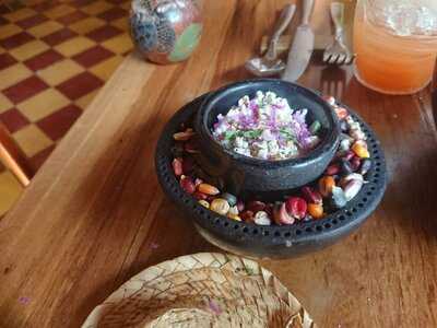 Celele By Proyecto Caribe Lab