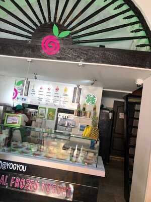 Yogyou Natural Frozen Yogurt