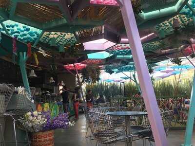 Avlîlâh By Caffeto