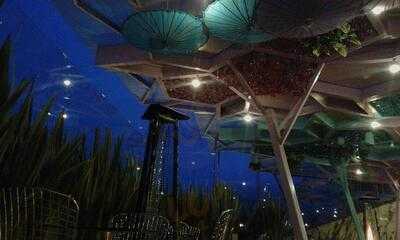 Avlîlâh By Caffeto