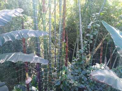 Coffee Shop La Tienda De Los Mecatos