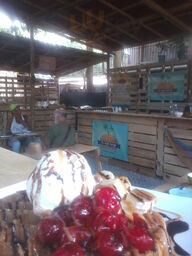 Palomino Food Park