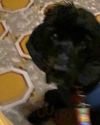 Palosanto Restaurante