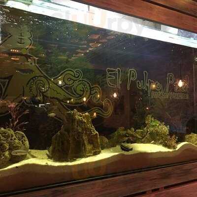El Pulpo Paul