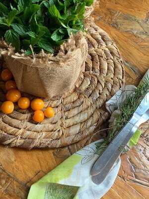 El Escudo Del Quijote