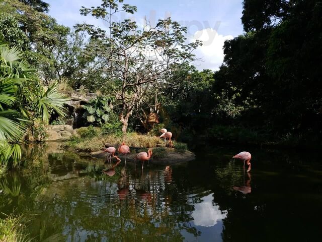 Zoológico De Cali