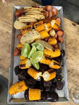 Búho Parrilla Entre Pinos