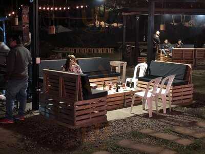 Búho Parrilla Entre Pinos