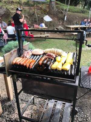 Búho Parrilla Entre Pinos