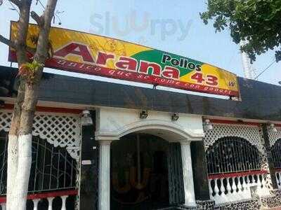Pollo Arana 43