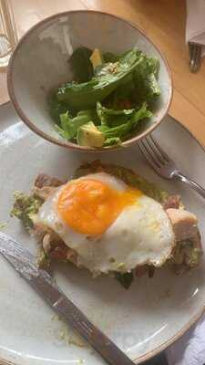 Caimán Café Trópico