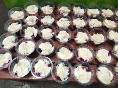 Malanga Del Trópico