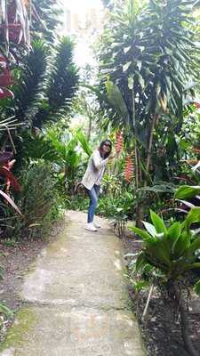 Mi Pequeña Alemania