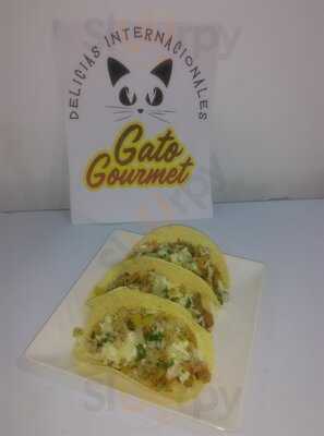 Delicias Internacionales Gato Gourmet