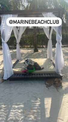 Marine Beach Club