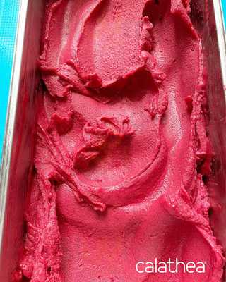 Pollyanna Helado Artesanal