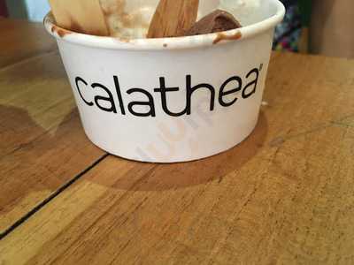 Pollyanna Helado Artesanal