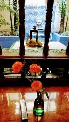 Dragón De La Marina