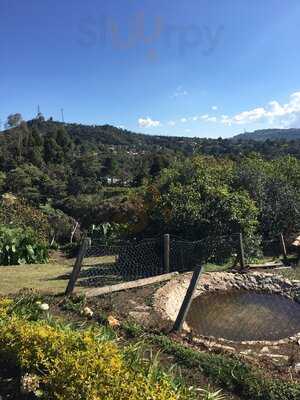 Donde Edward Comida De La Granja